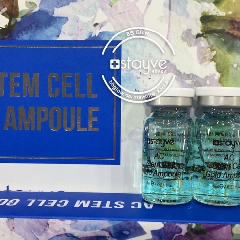 Stayve BB Glow MESO AC Steam Cell Gold Ampoule x 10